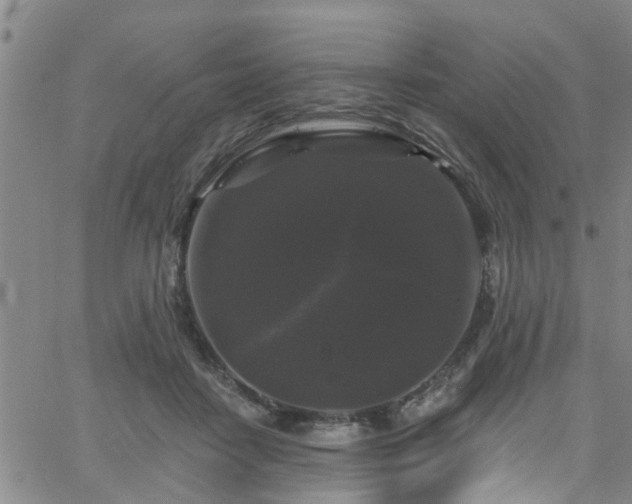 X0000058830458200510031351