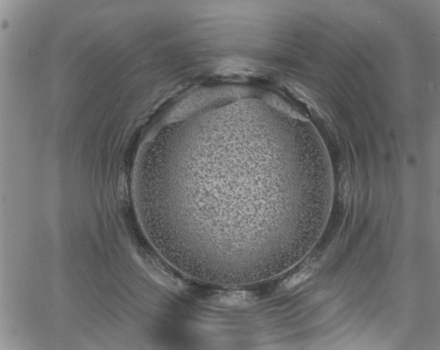 X0000058830459200510031351