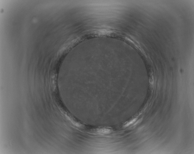 X0000058830462200510031351