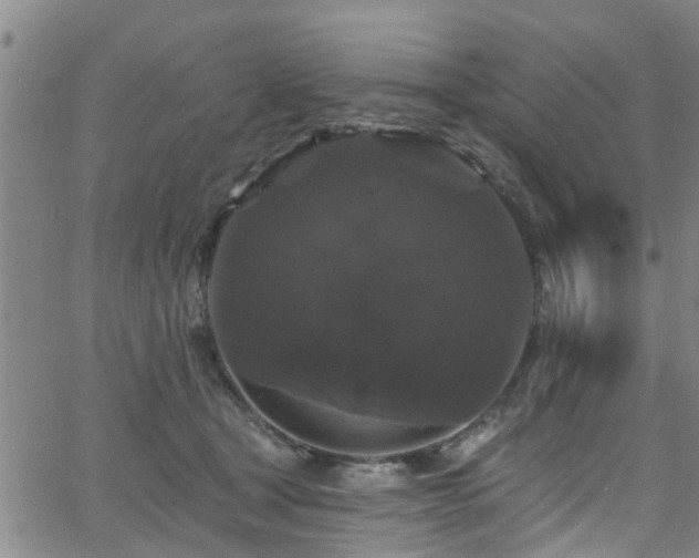 X0000058830465200510031351