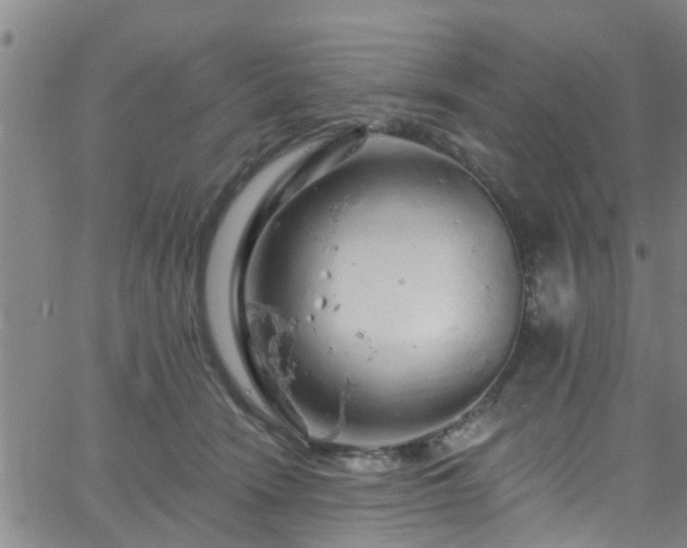 X0000058830466200510031351