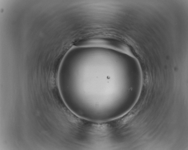 X0000058830469200510031351