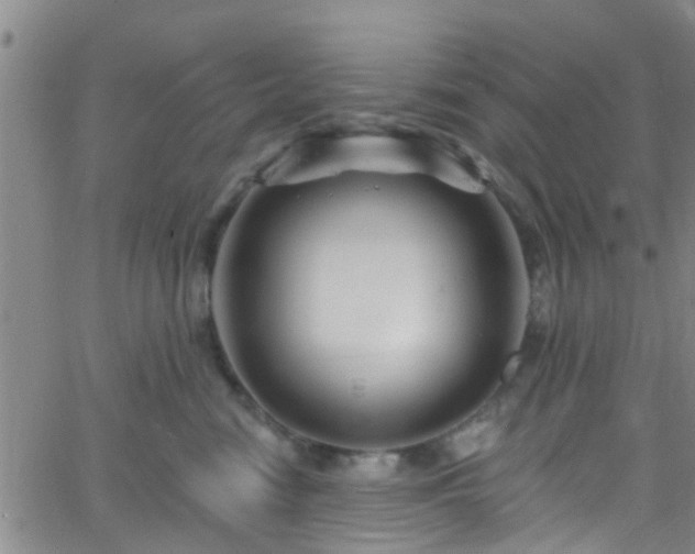 X0000058830474200510031351