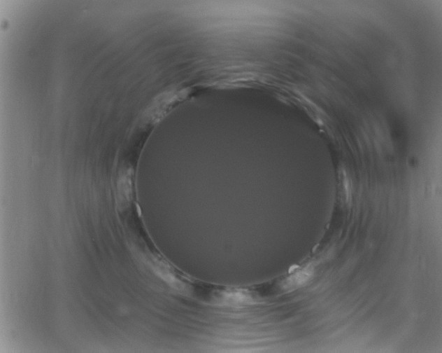 X0000058830475200510031351