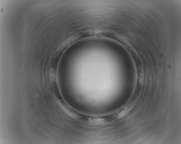 X0000058830476200510031351