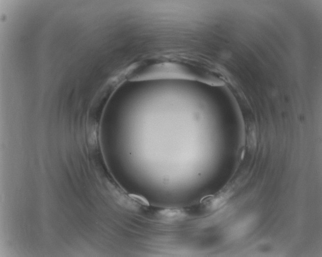 X0000058830477200510031351