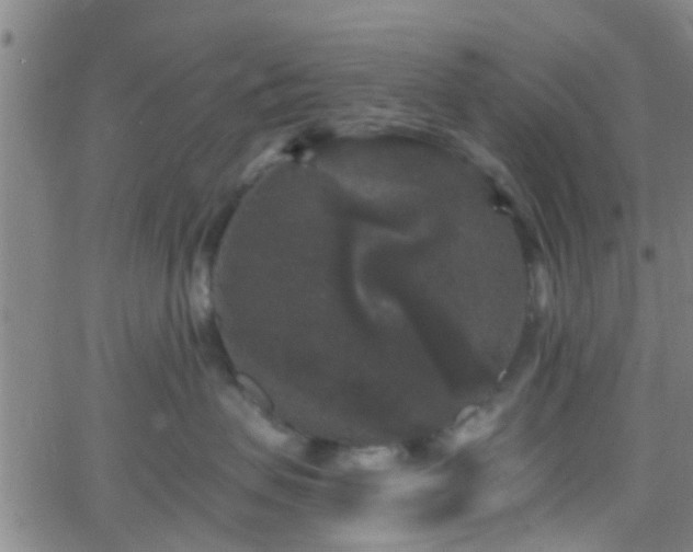 X0000058830479200510031351