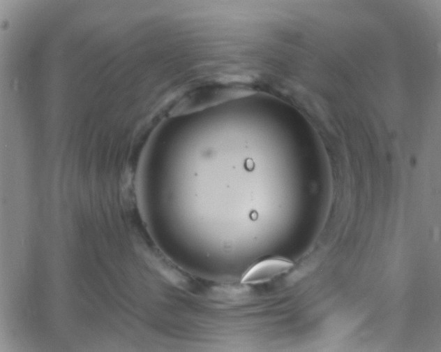 X0000058830480200510031351