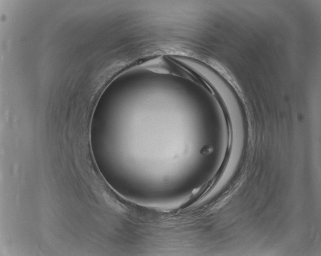 X0000058830481200510031351