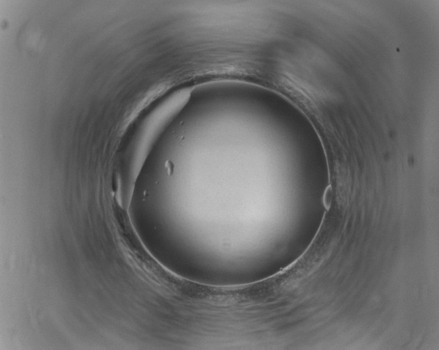 X0000058830482200510031351