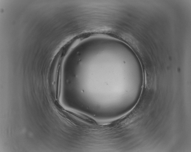 X0000058830483200510031351