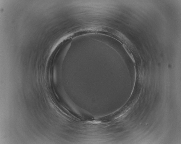 X0000058830484200510031350