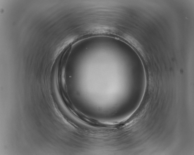 X0000058830485200510031350