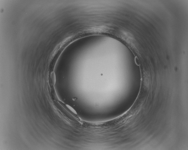 X0000058830486200510031350