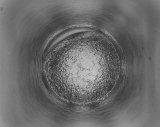 X0000058830487200510031350