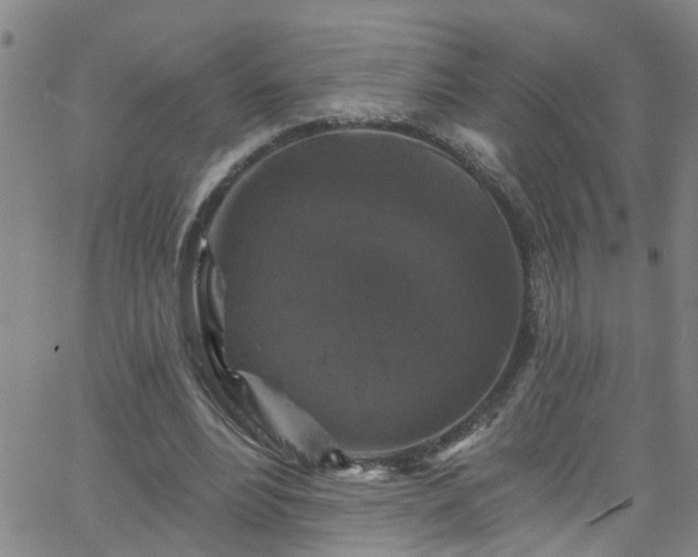 X0000058830488200510031350