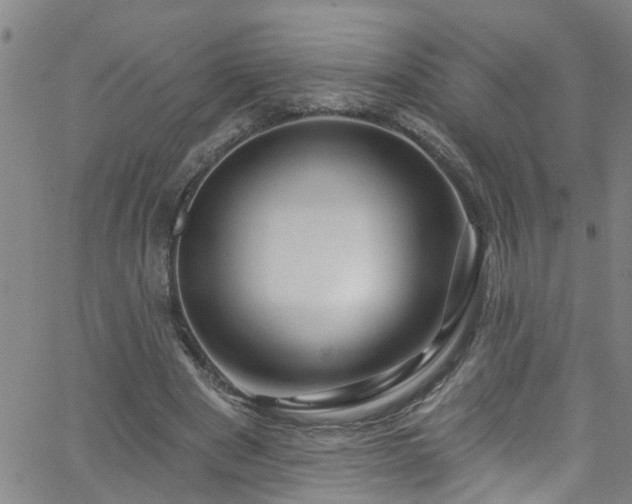 X0000058830489200510031350