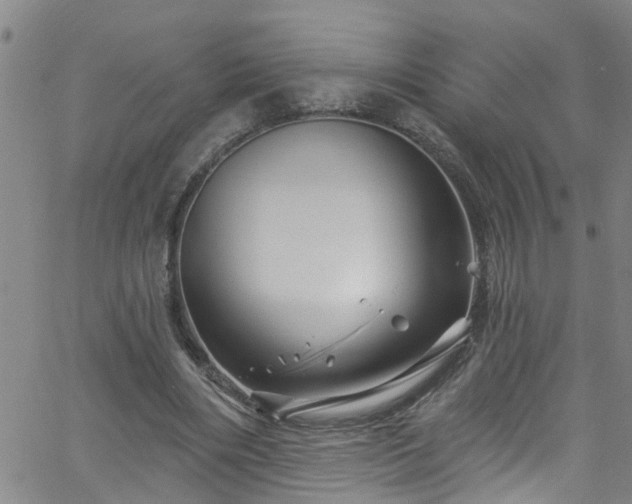 X0000058830490200510031350