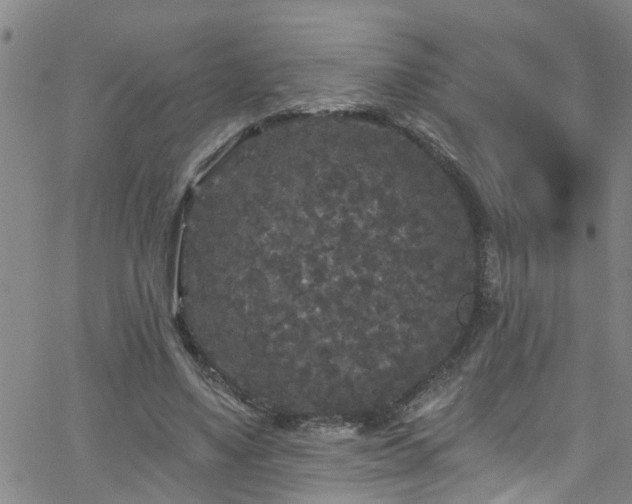 X0000058830491200510031350