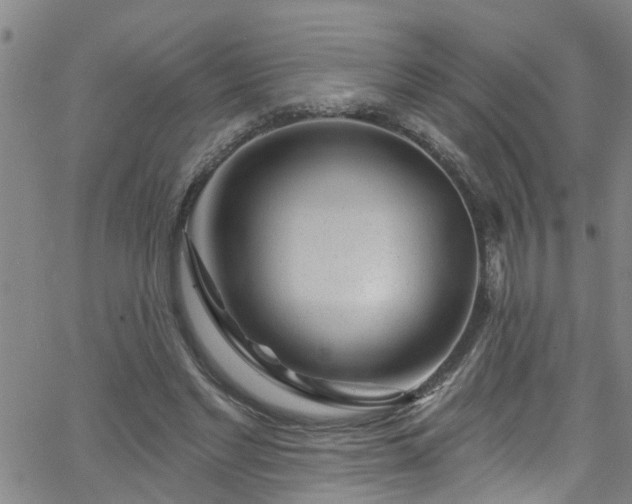 X0000058830493200510031350