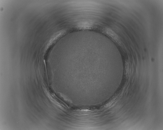 X0000058830494200510031350