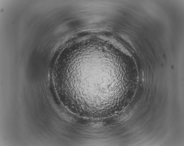 X0000058830495200510031350