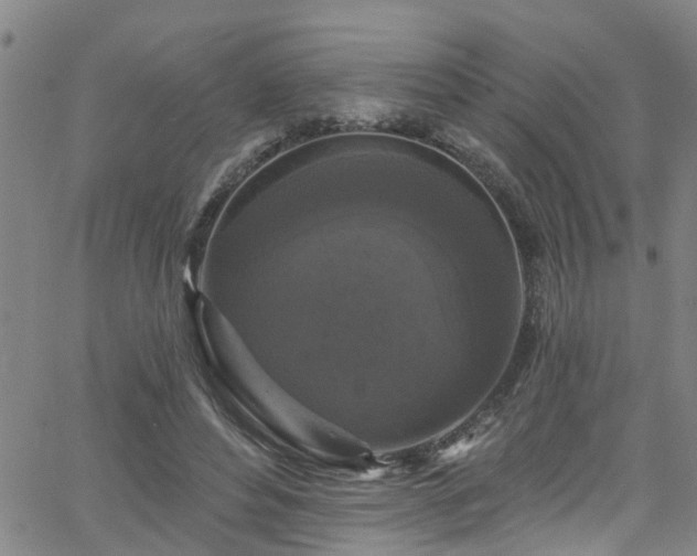 X0000058830496200510031350