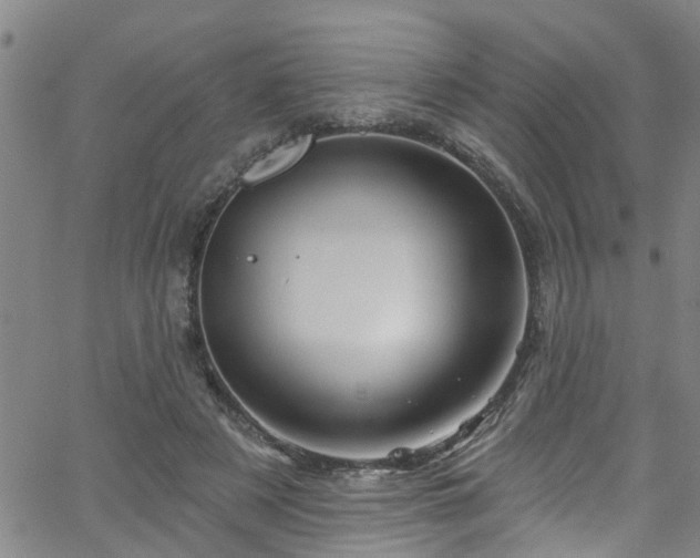 X0000058830497200510031350