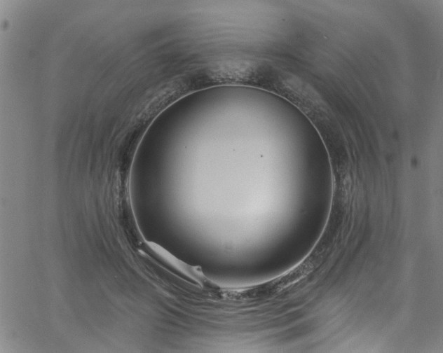 X0000058830498200510031350