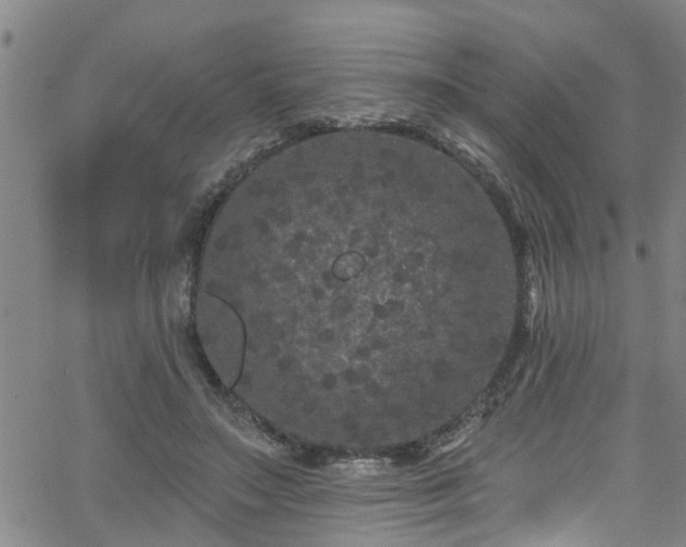 X0000058830499200510031350