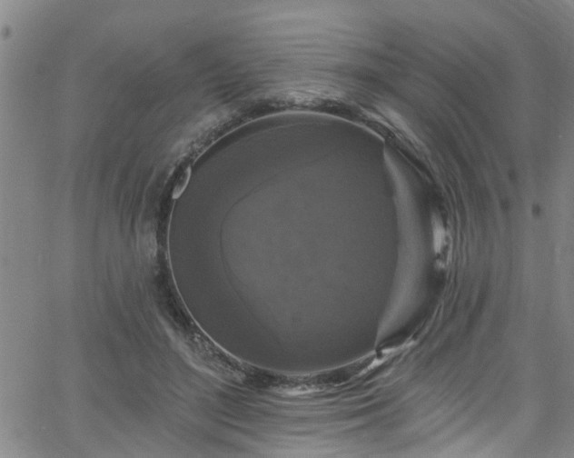 X0000058830500200510031350