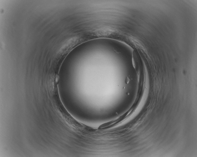 X0000058830501200510031350