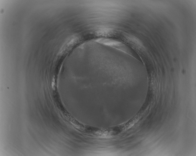 X0000058830502200510031350