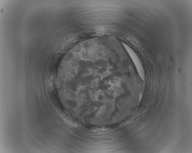 X0000058830503200510031350