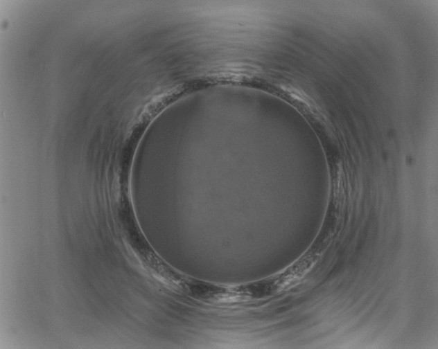 X0000058830504200510031350