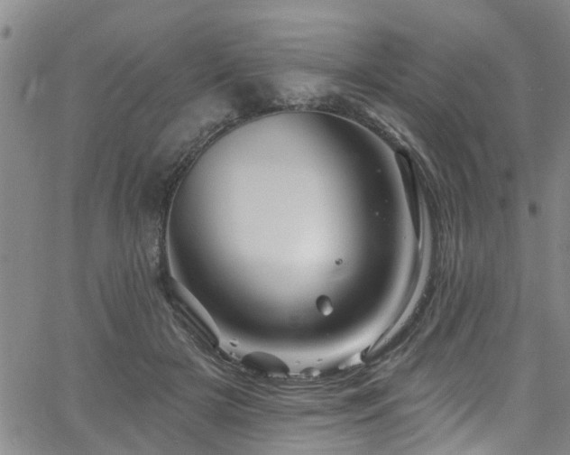 X0000058830505200510031350