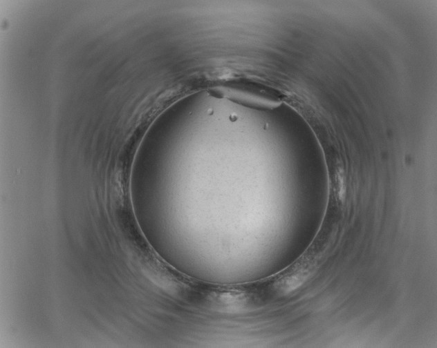 X0000058830506200510031350