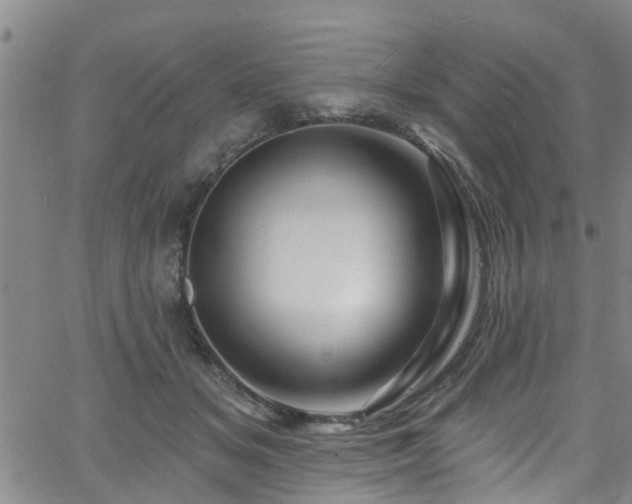 X0000058830509200510031350