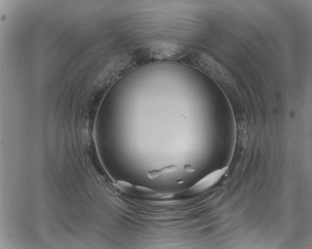 X0000058830510200510031350