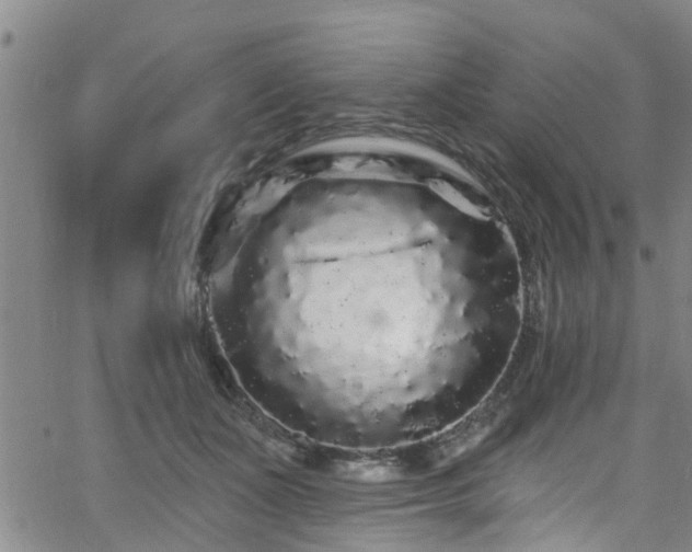 X0000058830511200510031350