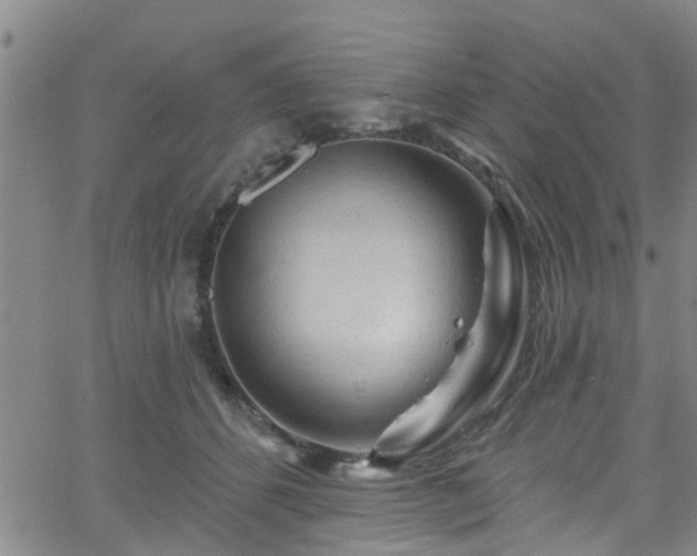 X0000058830512200510031350