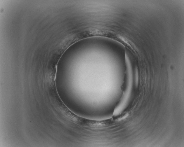 X0000058830513200510031350