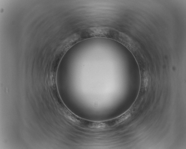 X0000058830514200510031350