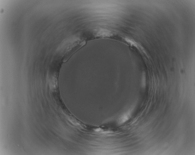 X0000058830517200510031350