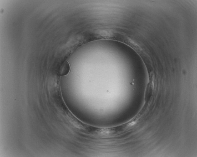 X0000058830518200510031350