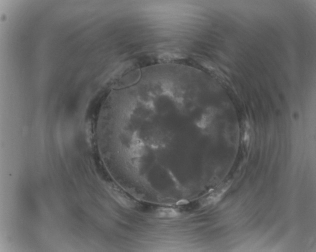 X0000058830519200510031350