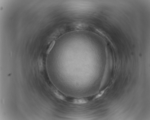 X0000058830520200510031350