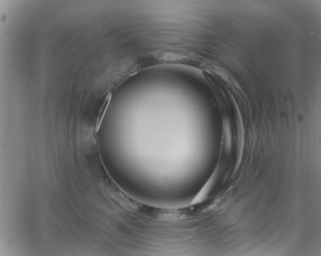 X0000058830521200510031350