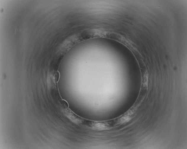 X0000058830522200510031350