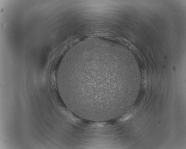 X0000058830523200510031350